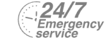 24/7 Emergency Service Pest Control in Seven Kings, Goodmayes, IG3. Call Now! 020 8166 9746