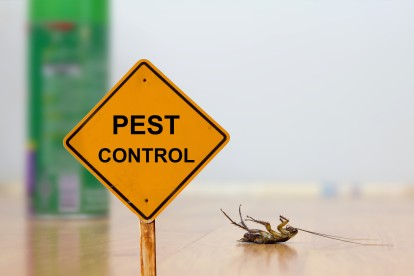 Pest Contol in Seven Kings, Goodmayes, IG3. Call Now 020 8166 9746